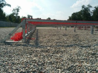 edizione-2017-36